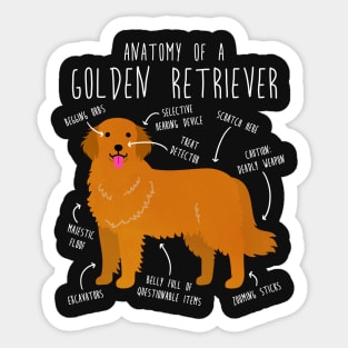 Golden Retriever Anatomy Sticker